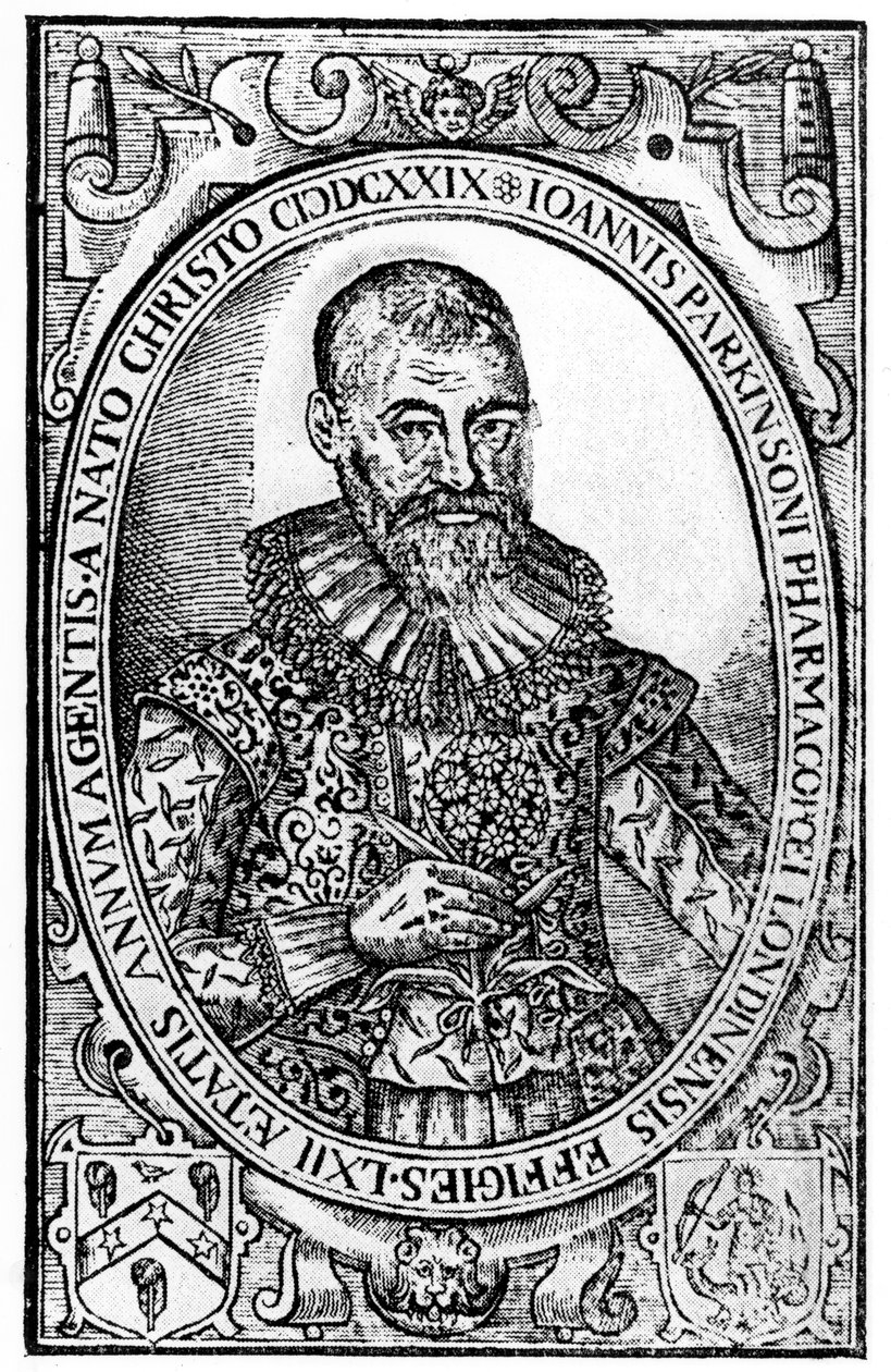 John Parkinson 1629-ben jelent meg a Paradisi frontképe a Sole Paradisus Terrestrisben alkotó: English School