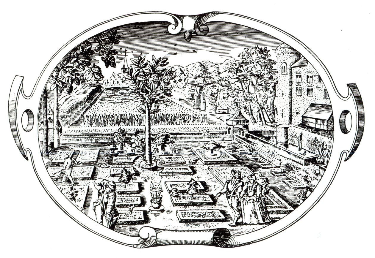 Frontispiece, a The Herballból, John Gerard (1545-1607), megjelent 1597 alkotó: English School