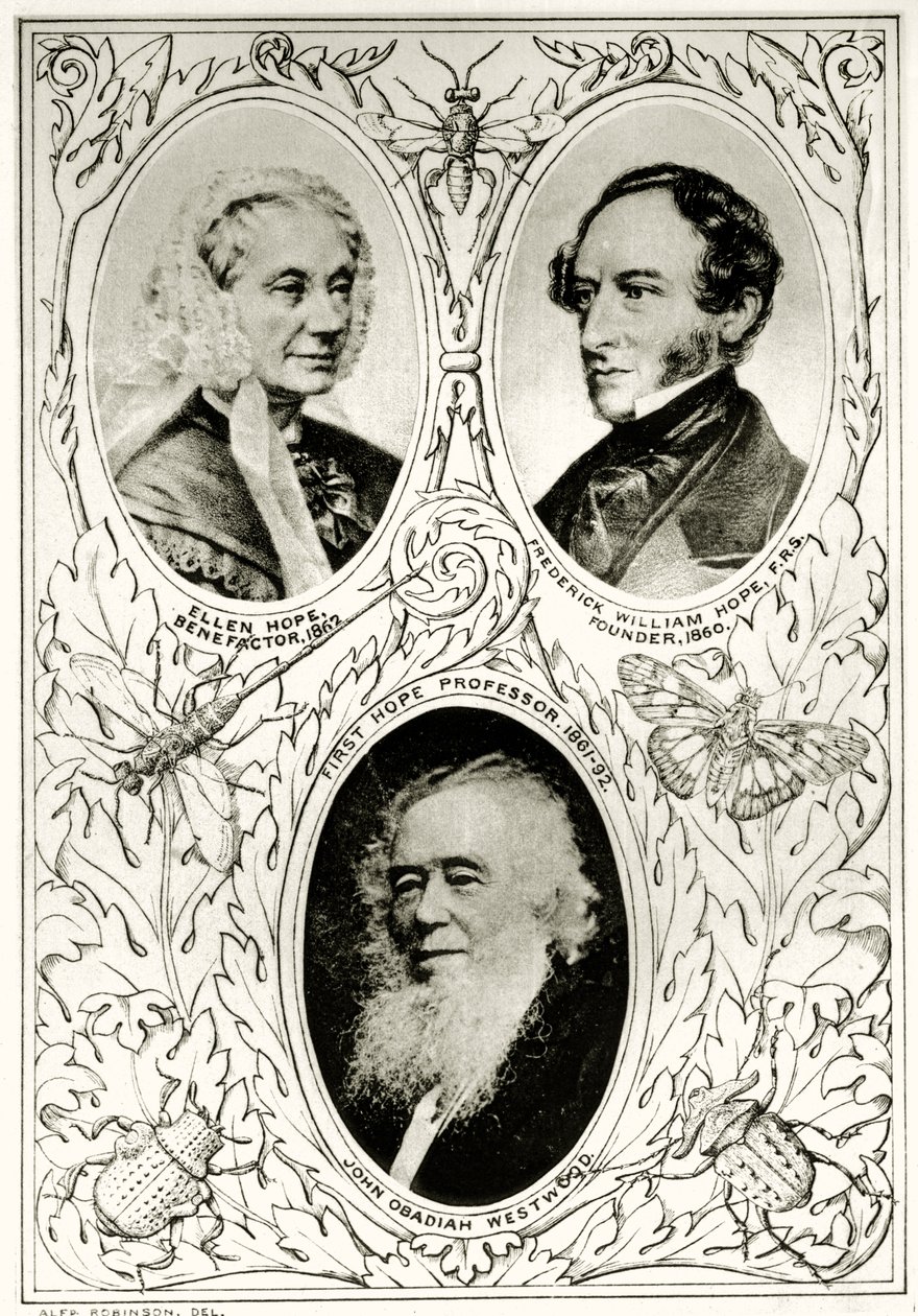 Frontispiece a The Hope Reportsból, Vol. II, 1897-1900., szerkesztette: Edward B. Poulton, Oxford, 1901 alkotó: English School