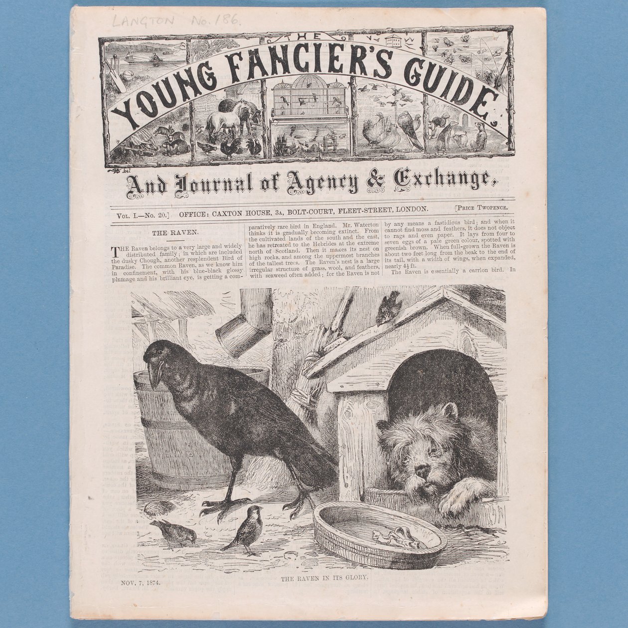 Frontispiece a The Young Fanciers Guide-ból, 1874 (lásd még: 315145) alkotó: English School