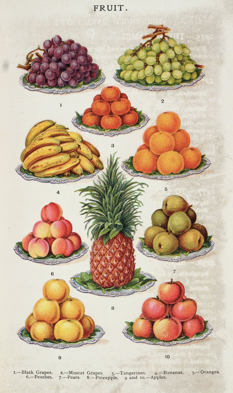 Fruit, a „Beeton