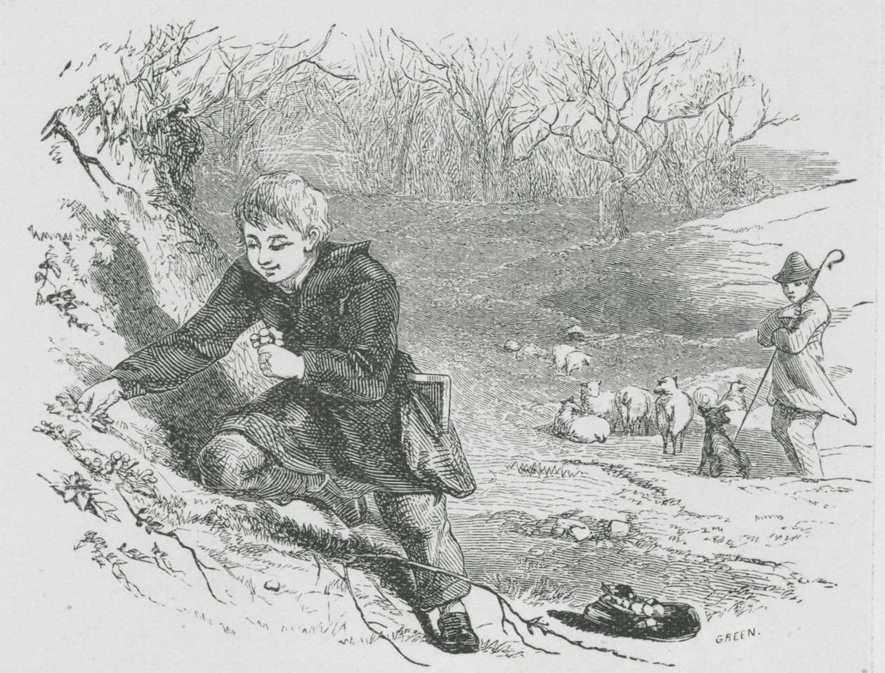 Gyűjtögető primrózák (metszet) alkotó: English School