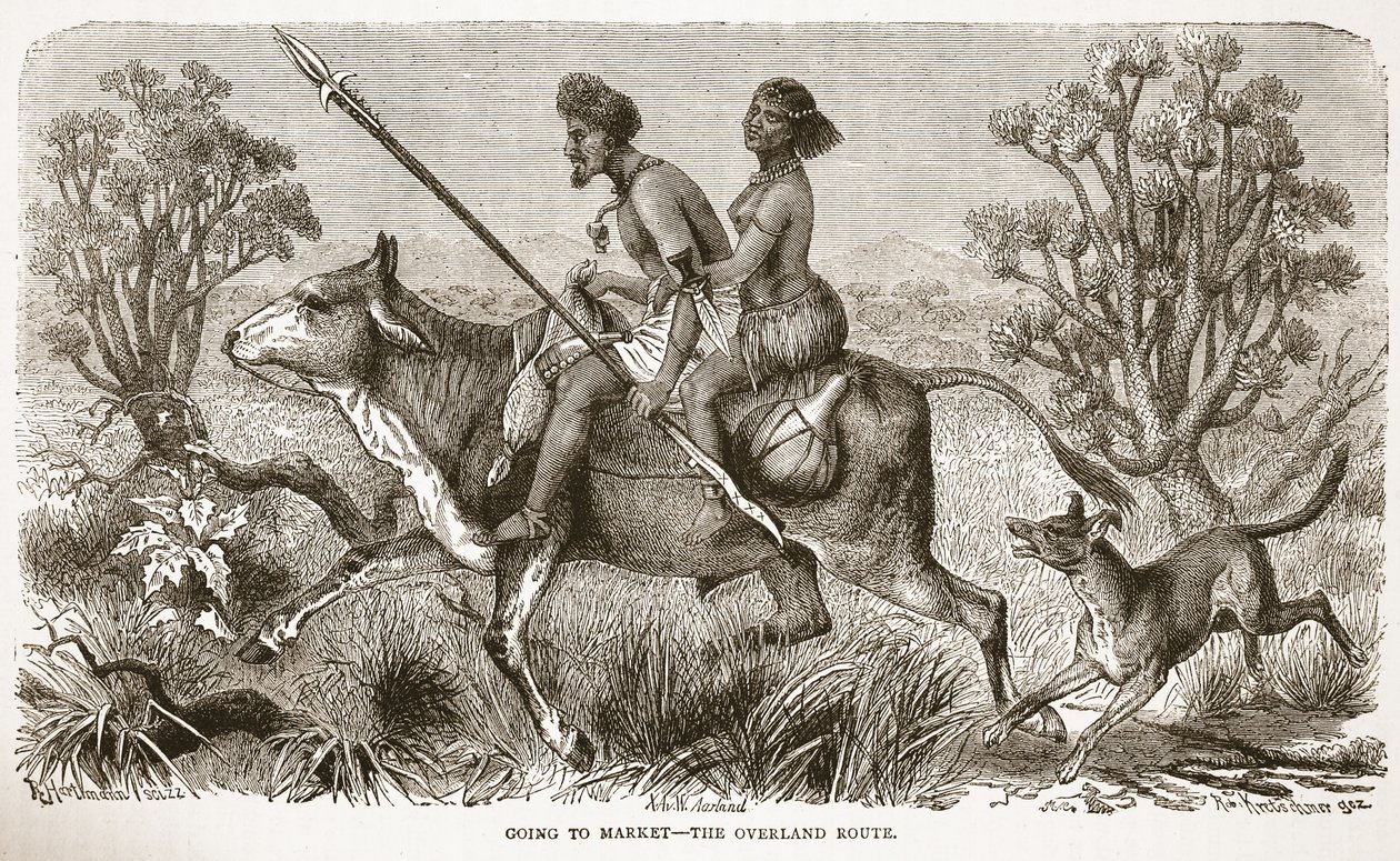 Piacra menni – a szárazföldi útvonalon, illusztráció a The Pitorial Edition of the Life and Discoveries of David Livingstone-ból, J. Ewing Richie, pub. A. Fullarton & Co., 1876 alkotó: English School