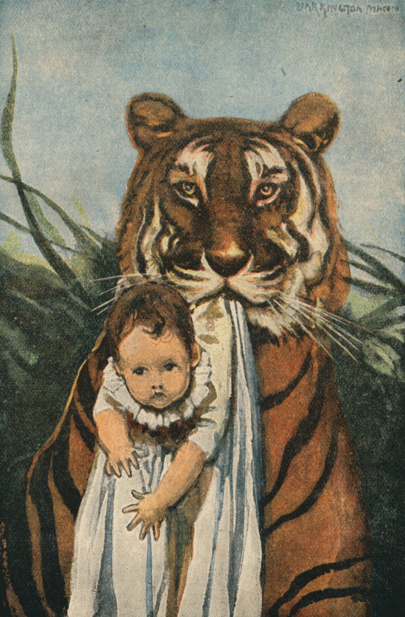 Good Tiger (színes litográfia) alkotó: English School