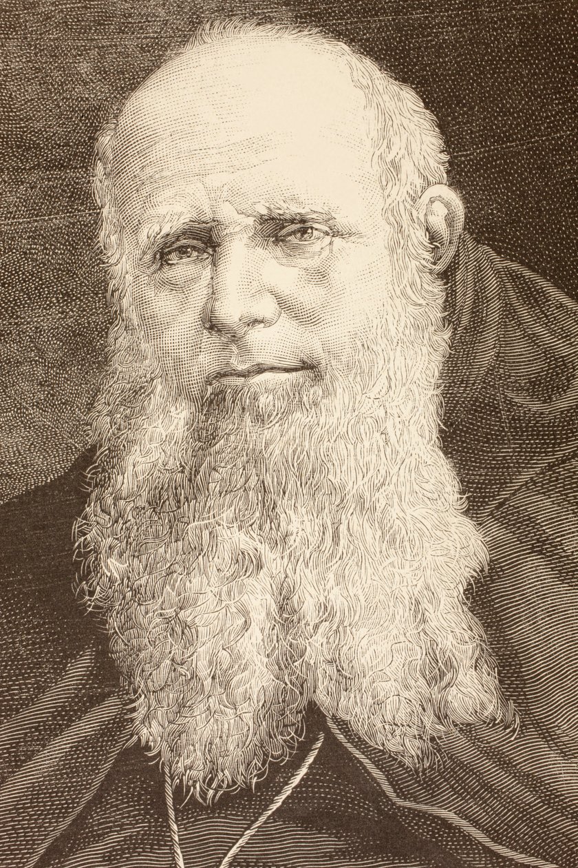Guglielmo Massaia (litho) alkotó: English School