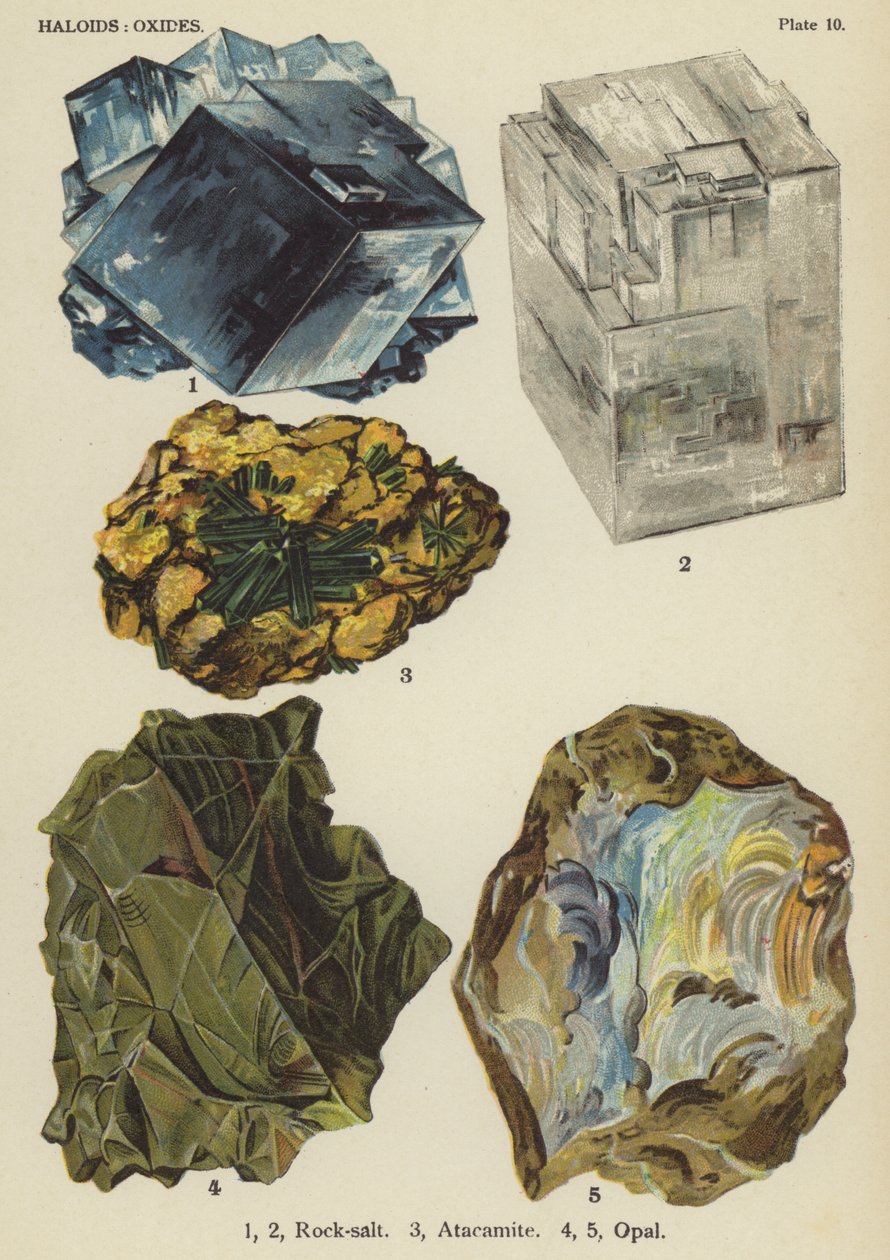 Haloidok, oxidok, kősó, atacamit, opál (színes litográfia) alkotó: English School