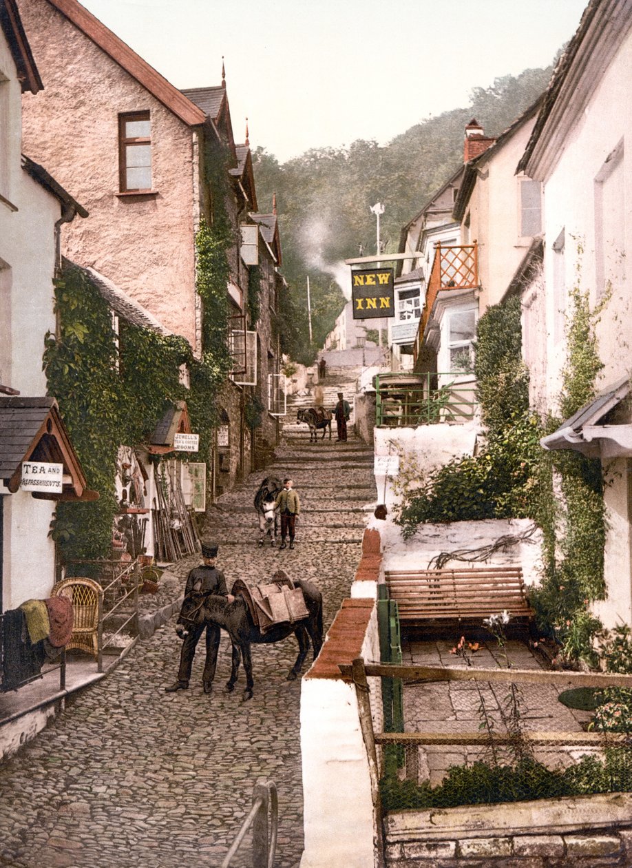 High Street, Clovelly (kézzel színezett fotó) alkotó: English School