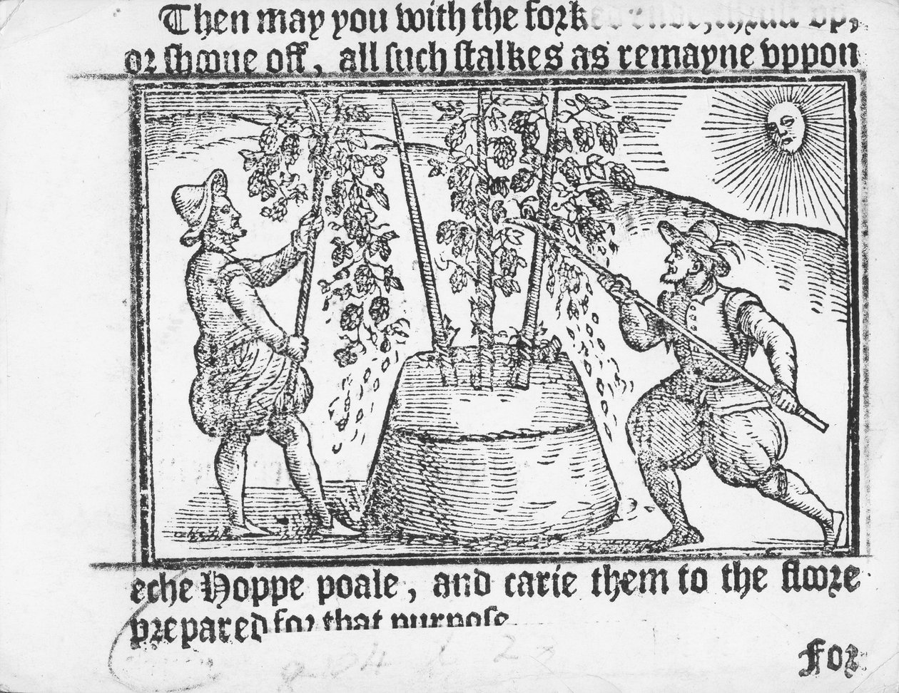 Komlótermesztés, Reynolds Scott: „Vade mecum, A Hoppe Garden tökéletes platformja”, 1576 alkotó: English School