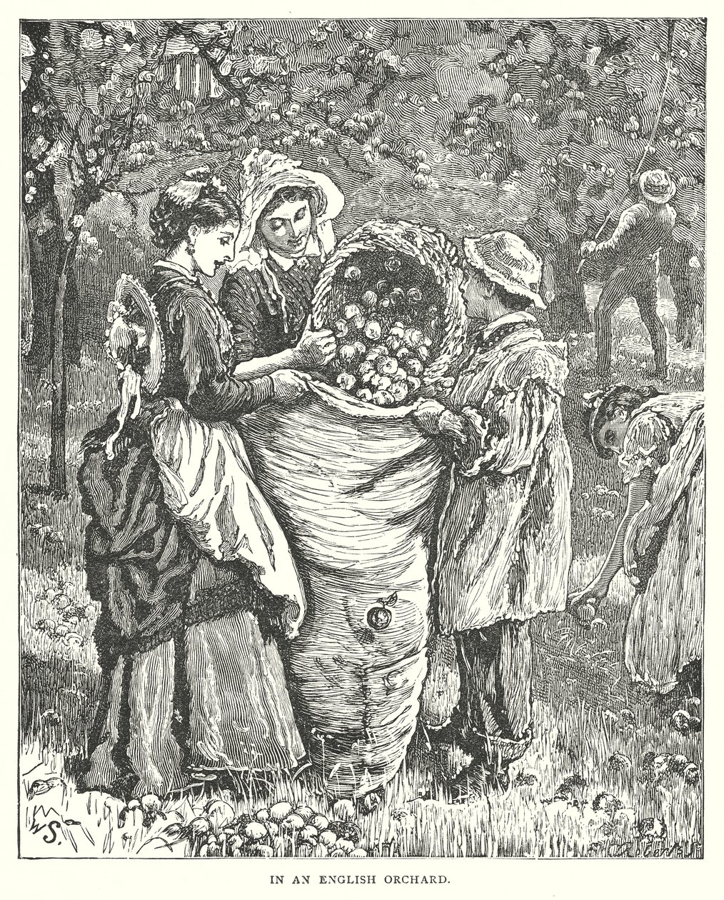 Egy angol gyümölcsöskertben (metszet) alkotó: English School