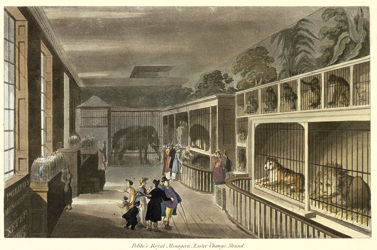 A Politos Royal Menagerie belső képe, Exeter Change, Strand, 1812 (akvatinta) alkotó: English School
