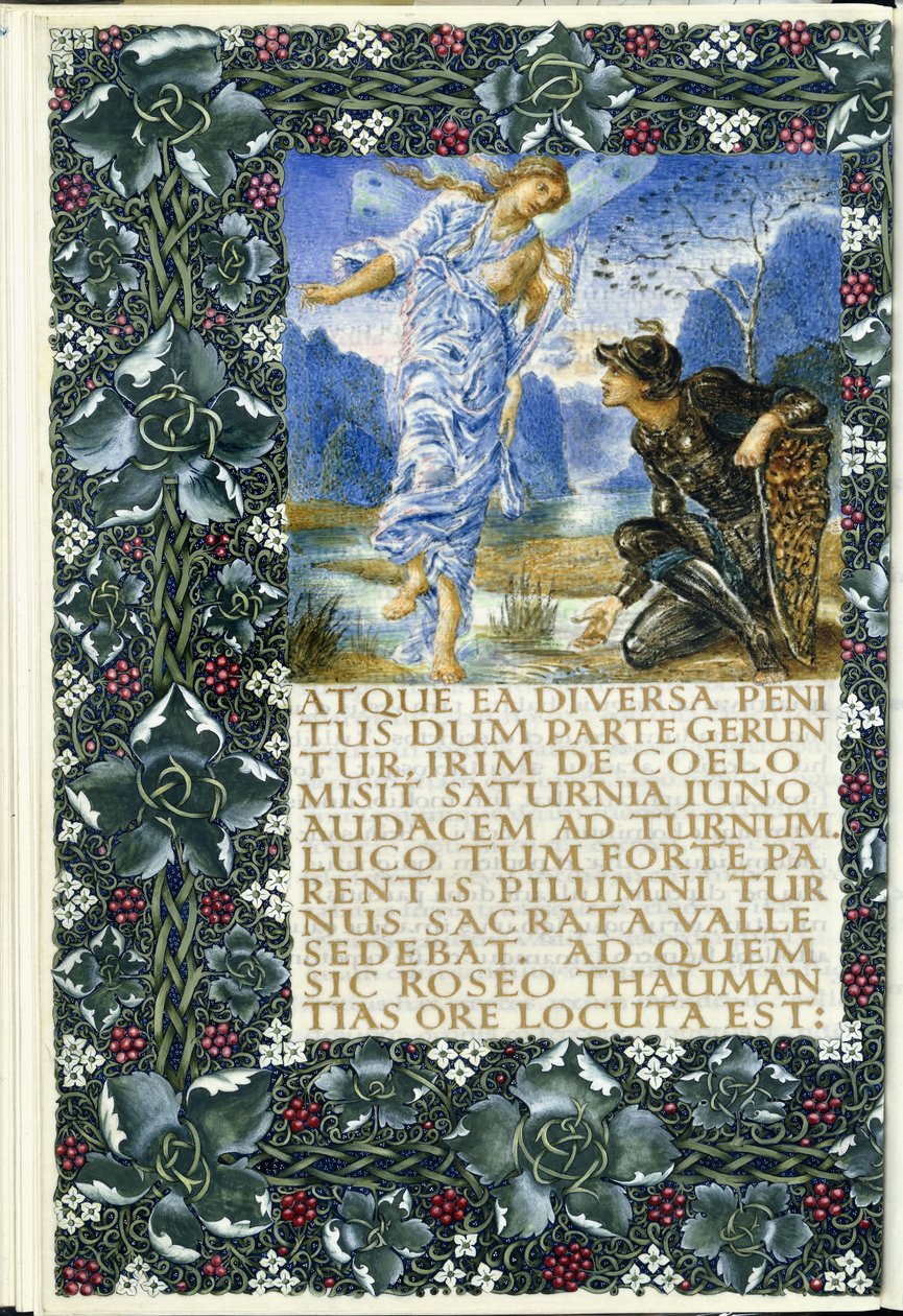 Turnus előtt megjelenő írisz, 1874-1919 körül alkotó: English School