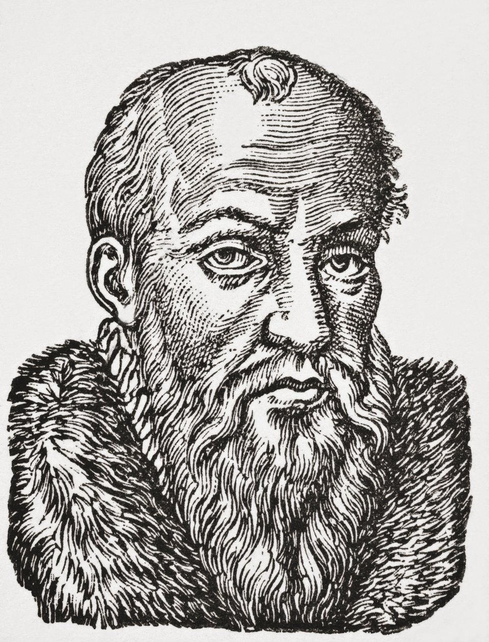 Jacques de Cujas, 1878 (litó) alkotó: English School