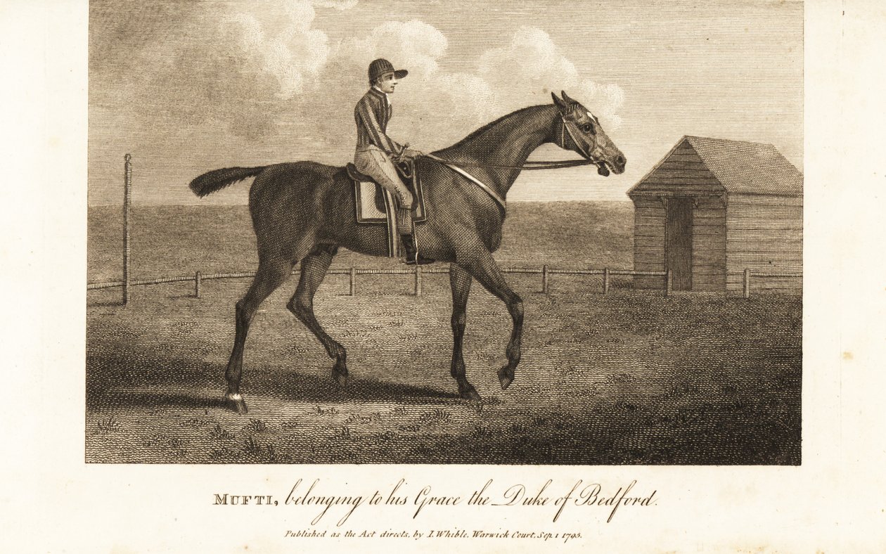 Jockey az ünnepelt telivér versenyzőn, Mufti-n, aki az ő kegyelméhez, a Bedford hercegéhez tartozik alkotó: English School