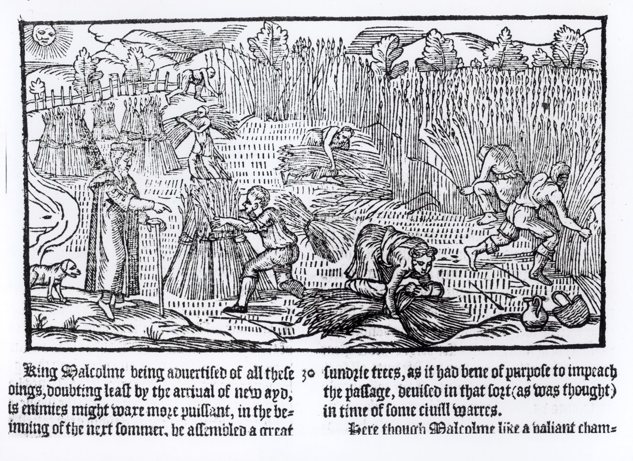 Malcolm skót király megfigyeli a mezőgazdasági munkát, 1586 alkotó: English School
