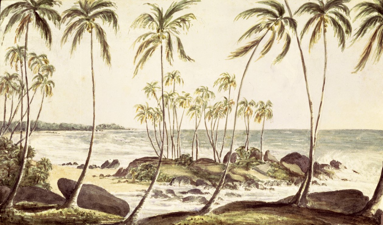 Kosgoda Beach, Ceylon, 1835 körül (wc papíron) alkotó: English School