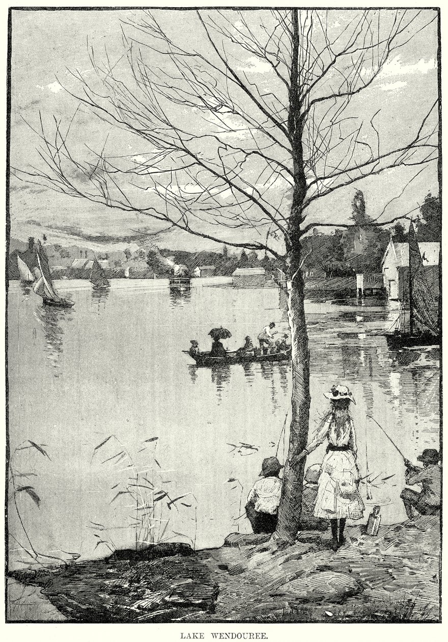 Wendouree-tó (metszet) alkotó: English School