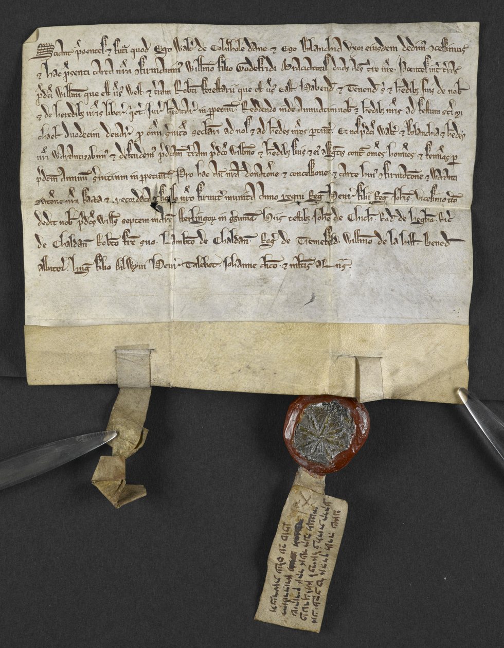 Latin okirat héber quitclaim (pecséthez csatolva), Jacob ben Aaron által, amely egy földdarabot William le Briel számára enged át. Anglia alkotó: English School