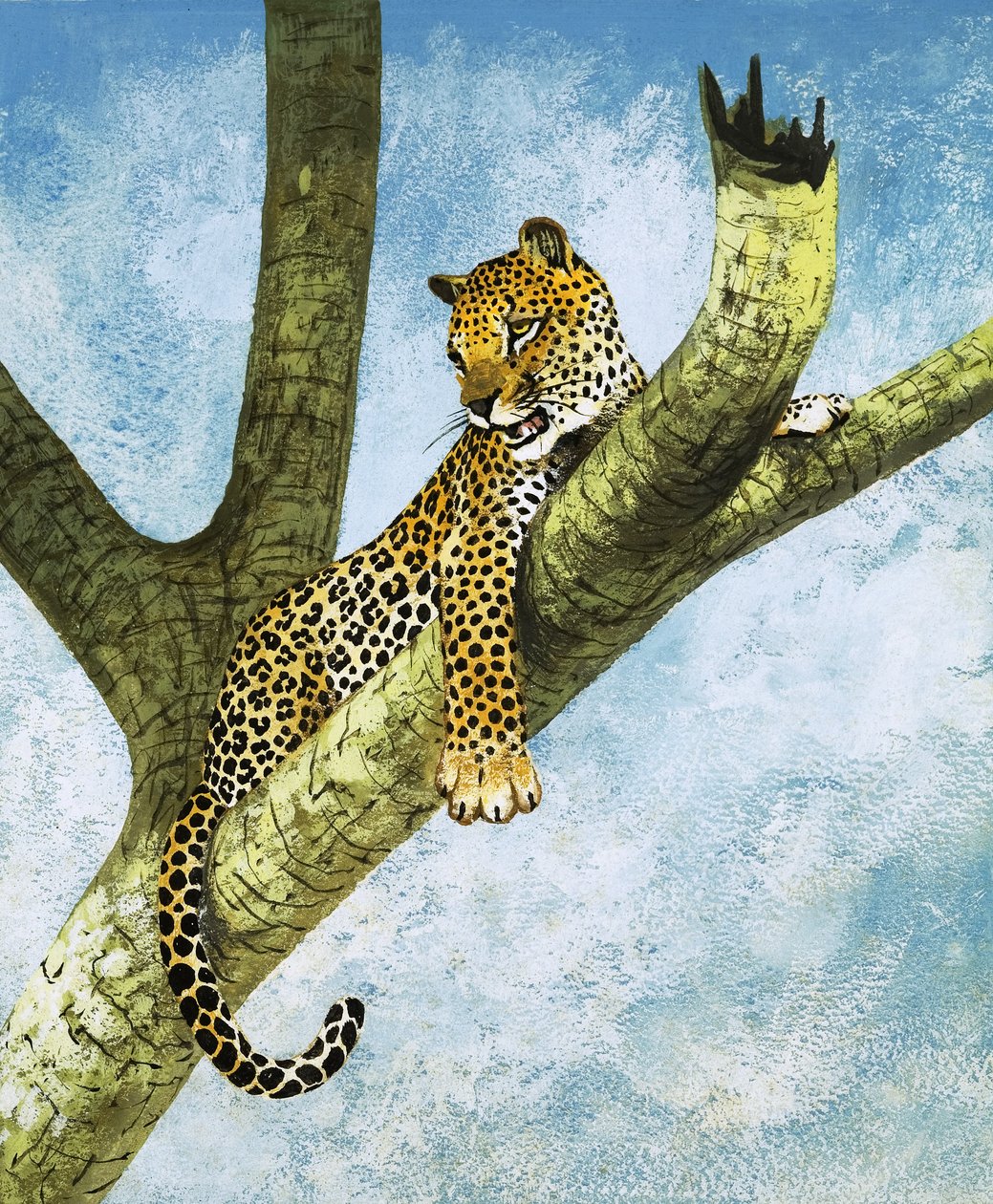 Leopárd egy fán (gouache, papír) alkotó: English School