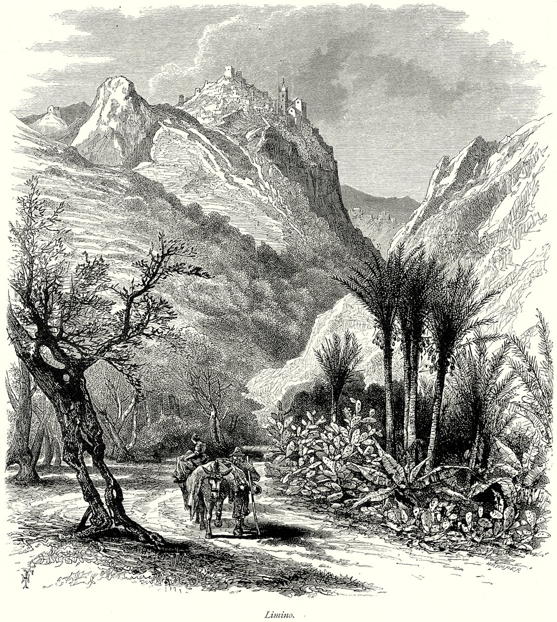 Limino (metszet) alkotó: English School