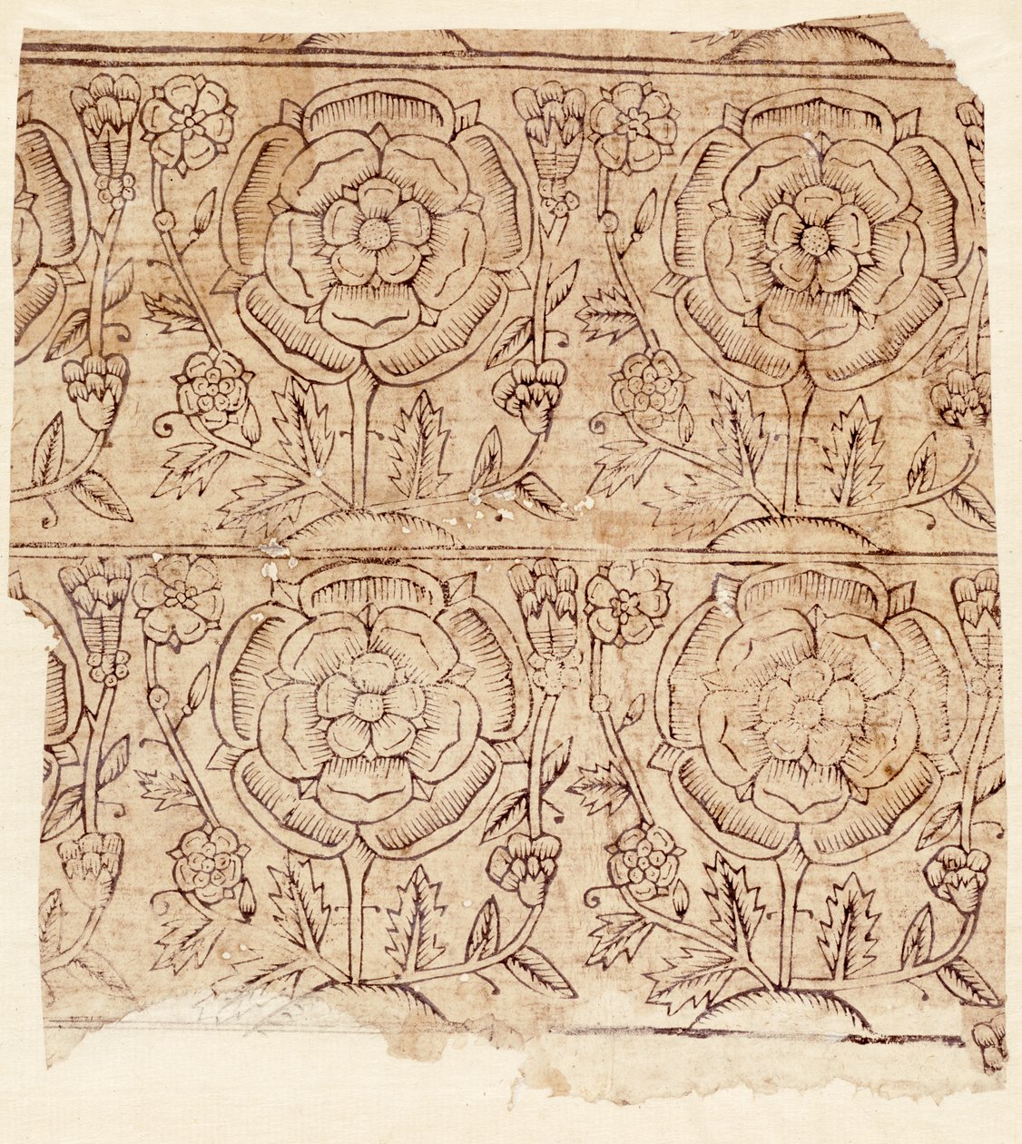 Tudor Rose mintás béléspapír, 1550 körül (fatömb nyomat) alkotó: English School