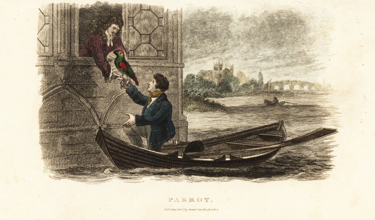 A londoni hajós megment egy beszélő papagájt VIII. Henrik angol királyhoz alkotó: English School