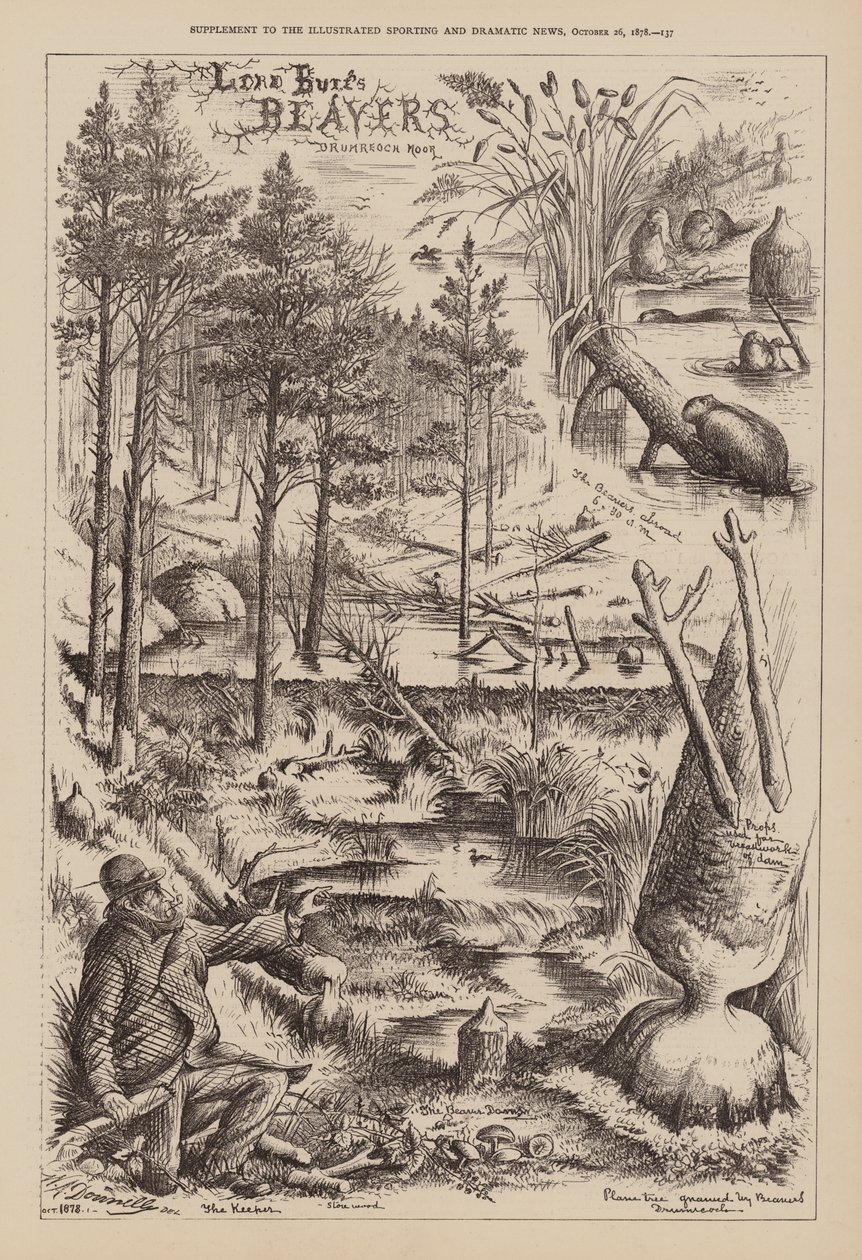 Lord Bure hódjai, Drumreoch Moor (metszet) alkotó: English School