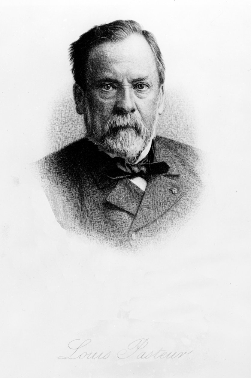 Louis Pasteur (1822-95) alkotó: English School
