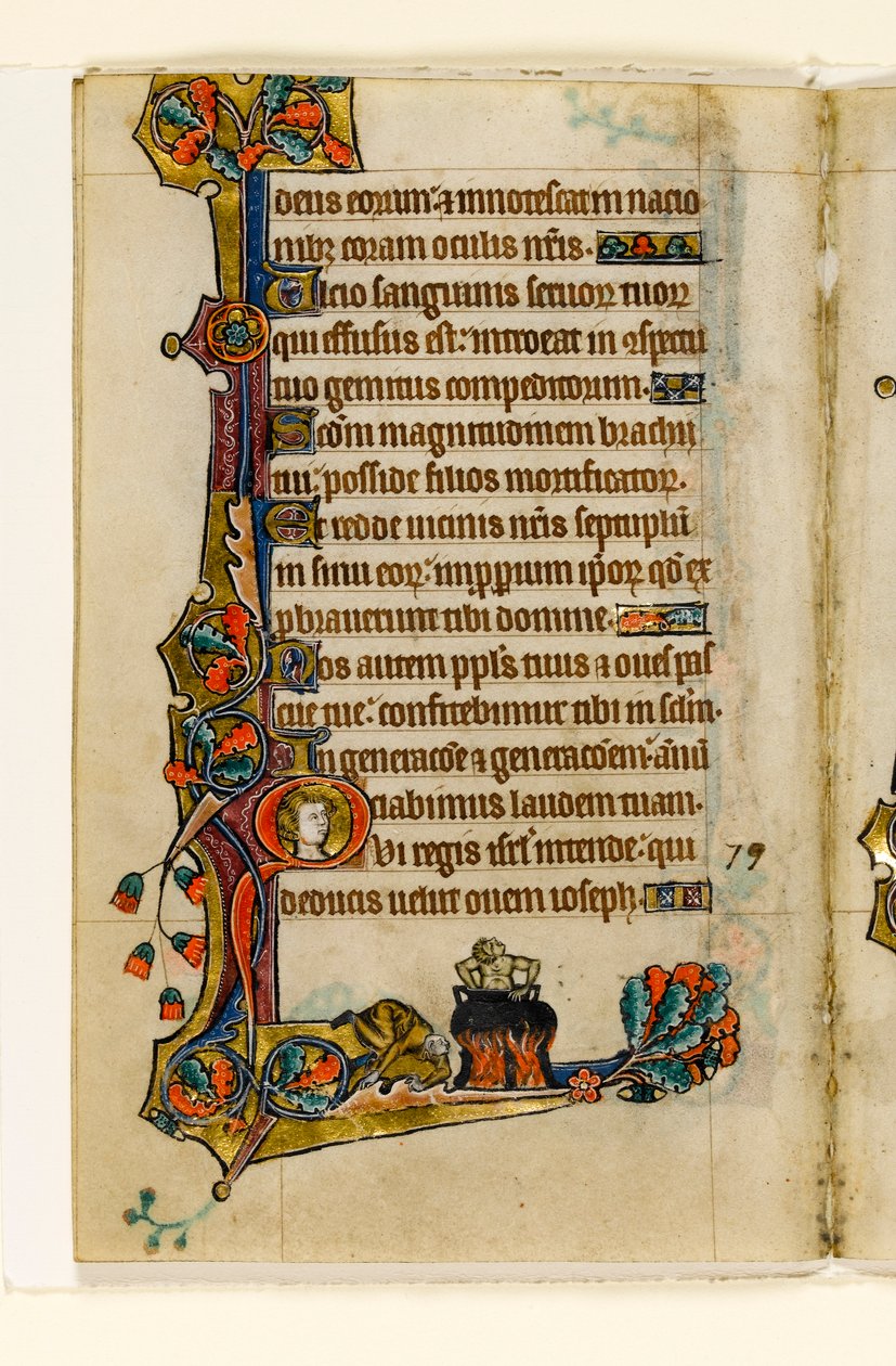 MS 1-2005, fol. 116v: A Cauldronban, marginális díszítés a Macclesfield Zsoltárból, Use of Sarum, East Anglia, 1330 körül alkotó: English School