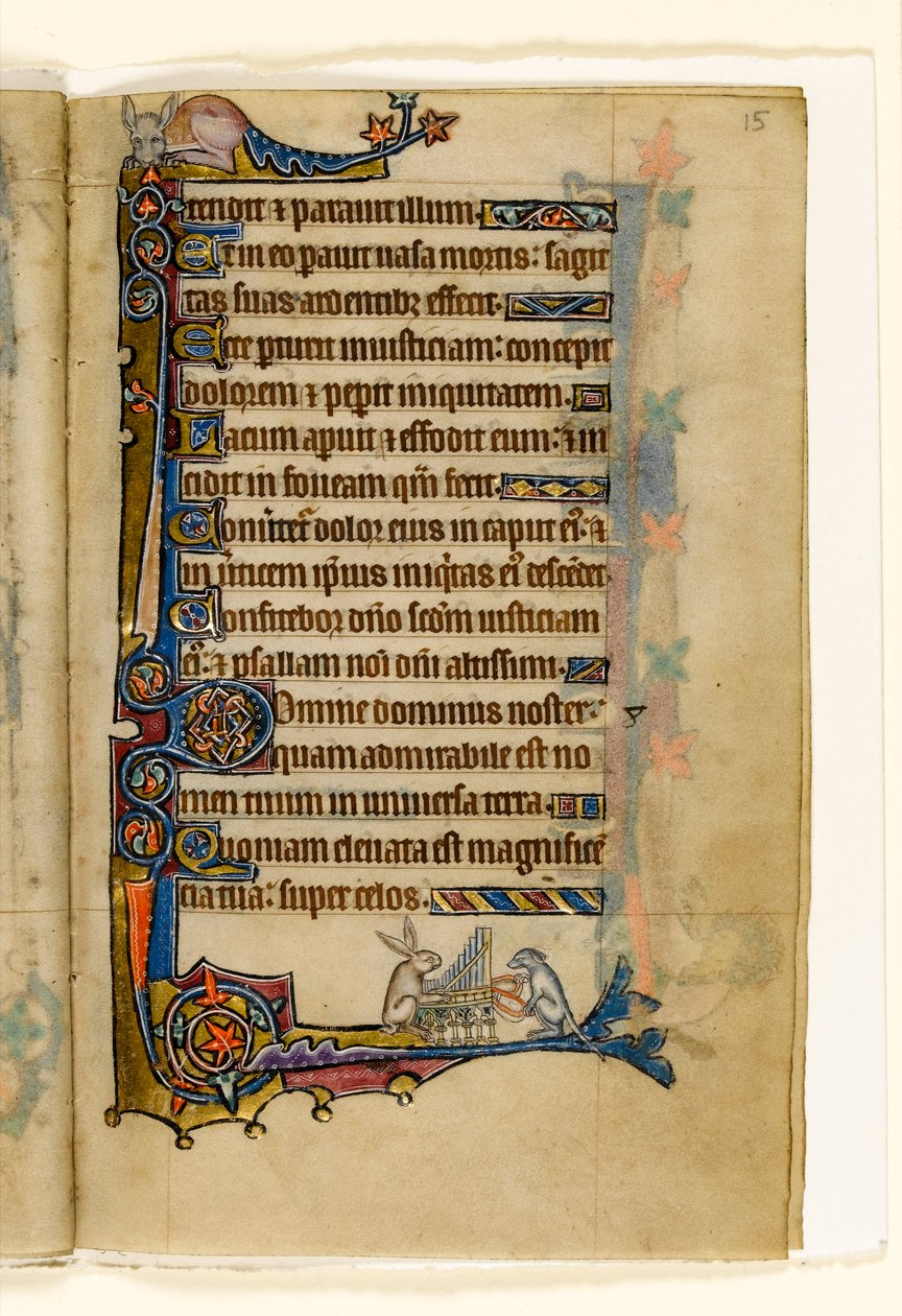 MS 1-2005, fol. 15r: Egy nyúl és egy orgonát játszó kutya, marginális díszítés a Macclesfield Zsoltárból, Sarum használata, East Anglia, 1330 körül alkotó: English School