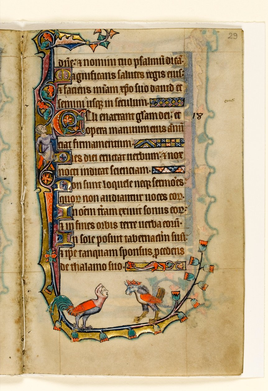 MS 1-2005, fol. 29r: Két madárszerű groteszk, marginális díszítés a Macclesfield Zsoltárból, Sarum használata, East Anglia, 1330 körül alkotó: English School