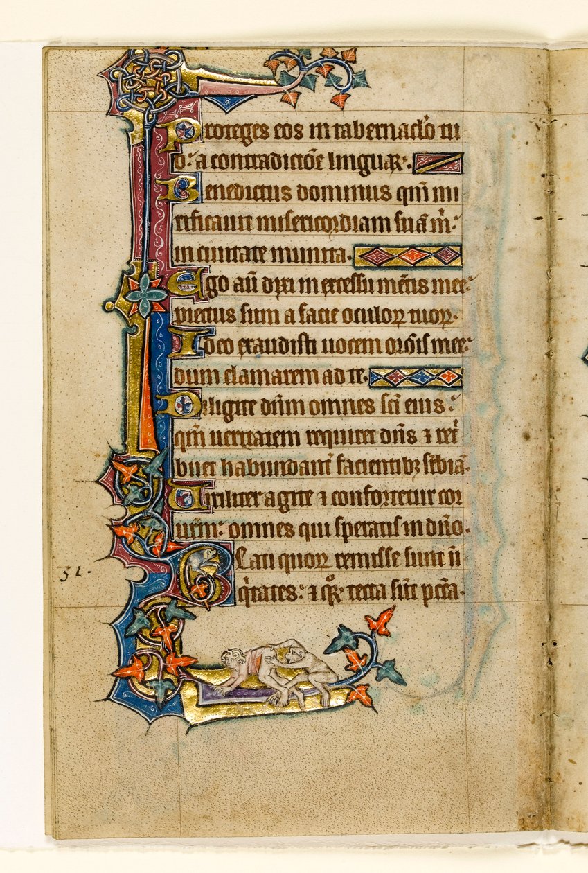 MS 1-2005, fol. 45v: Mans Bottomban kukucskáló majom, szélső díszítés a Macclesfield Psalterből, Sarum használata, East Anglia, 1330 körül alkotó: English School