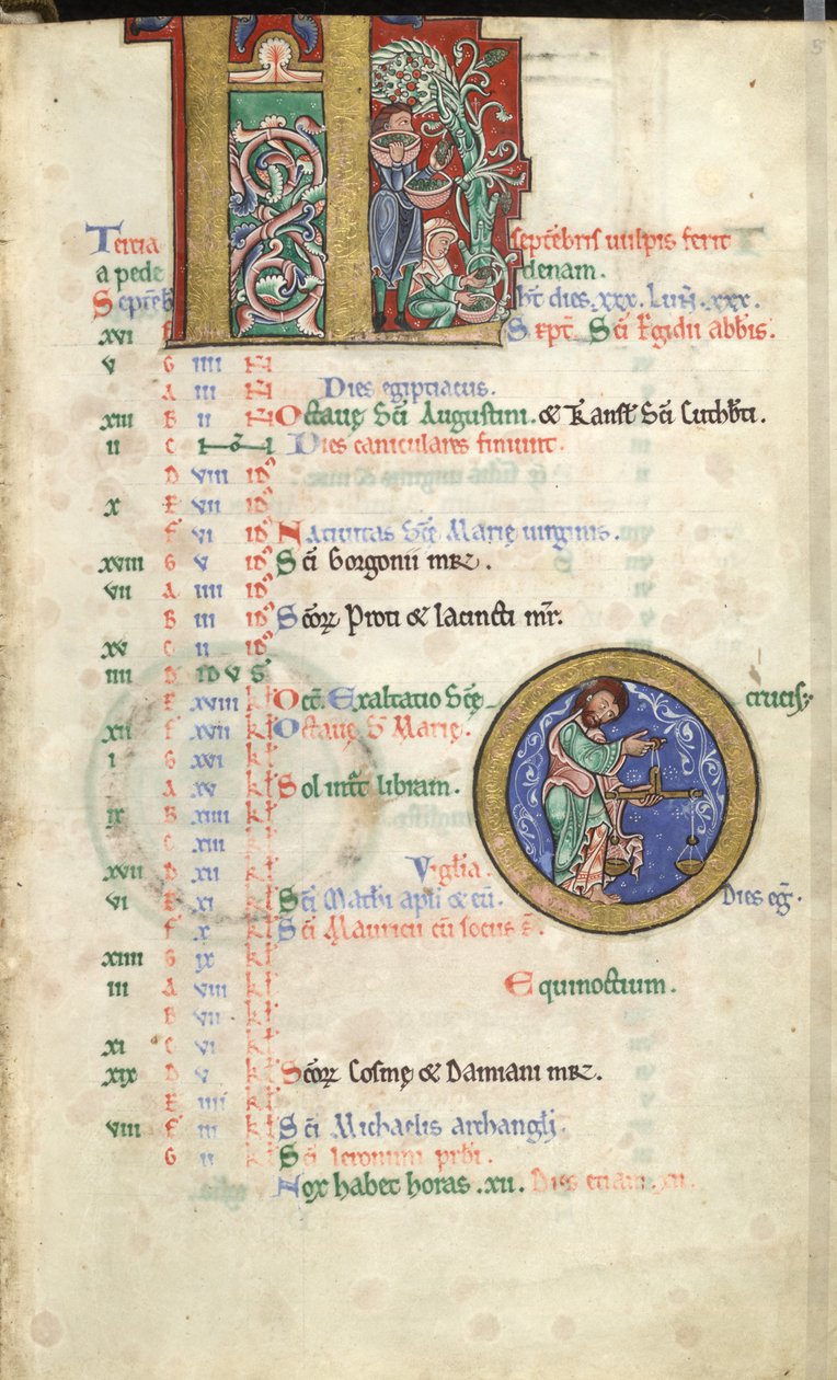 MS Hunter 229 f.5r September, a Hunterian Psalterből, 1170 körül (toll és tinta, valamint tempera pergamen) alkotó: English School