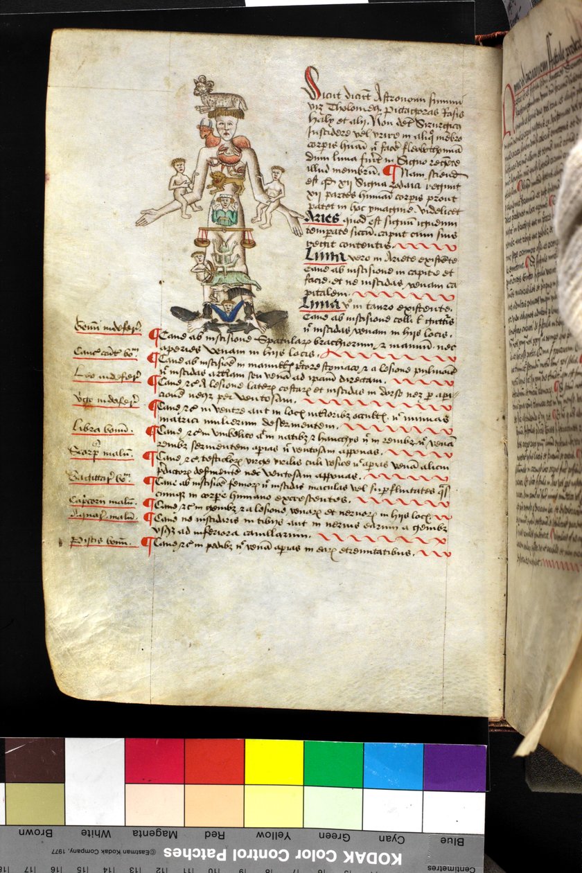 MS Hunter 251 f.47v, 