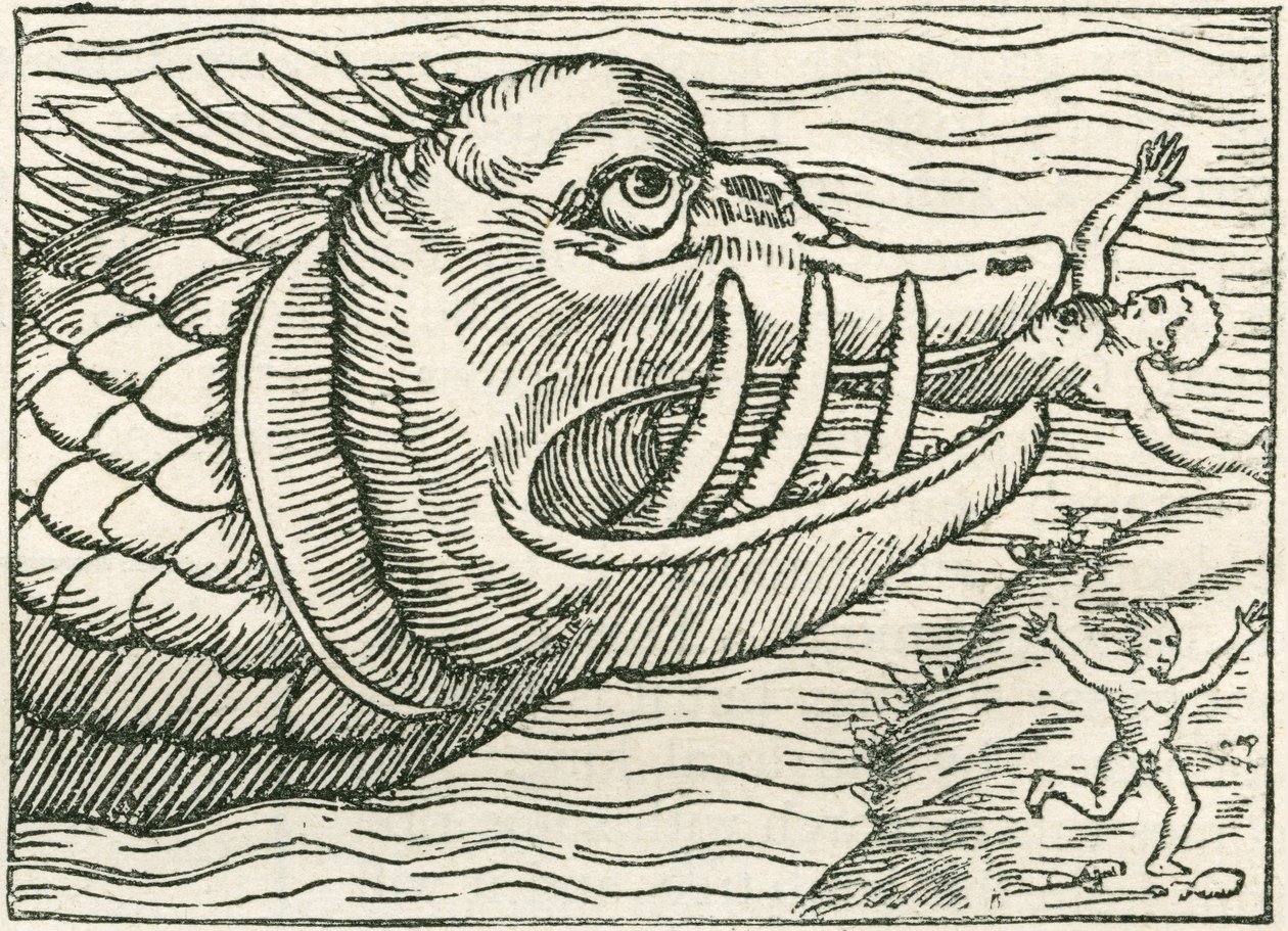 Az embert megette egy tengeri kígyó. Az Olaus Magnus által készített térkép margóján található illusztráció alkotó: English School