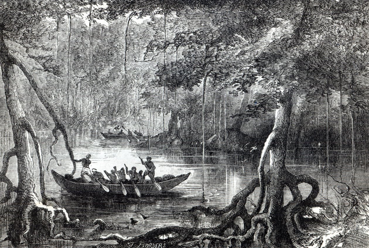„Mangrove Forest”, előlapi illusztráció a „Huszonkilenc év Nyugat-Indiában és Közép-Afrikában”, H.M. Waddell, 1863-ban jelent meg Londonban alkotó: English School