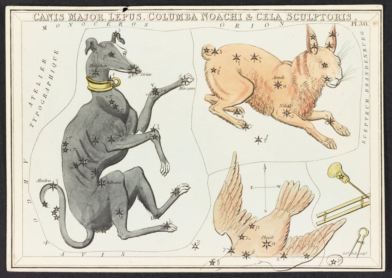 Térképek C.44.A.42 Canis Major Lepus, az Uránia tükréből; vagy az égi kilátás. [Egy doboz 32 kártyával.]” – Josafát Aspin alkotó: English School