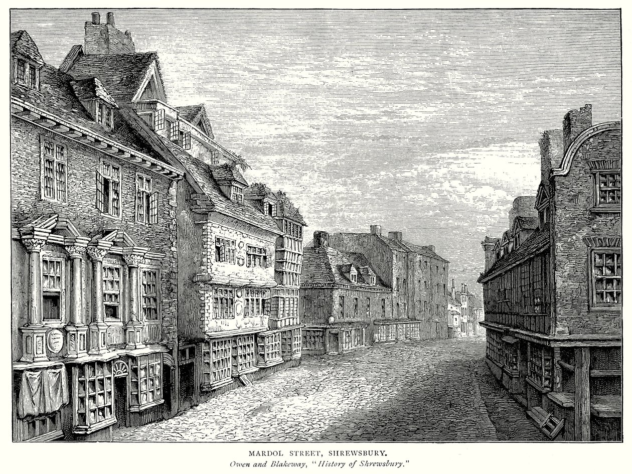 Mardol Street, Shrewsbury (metszet) alkotó: English School