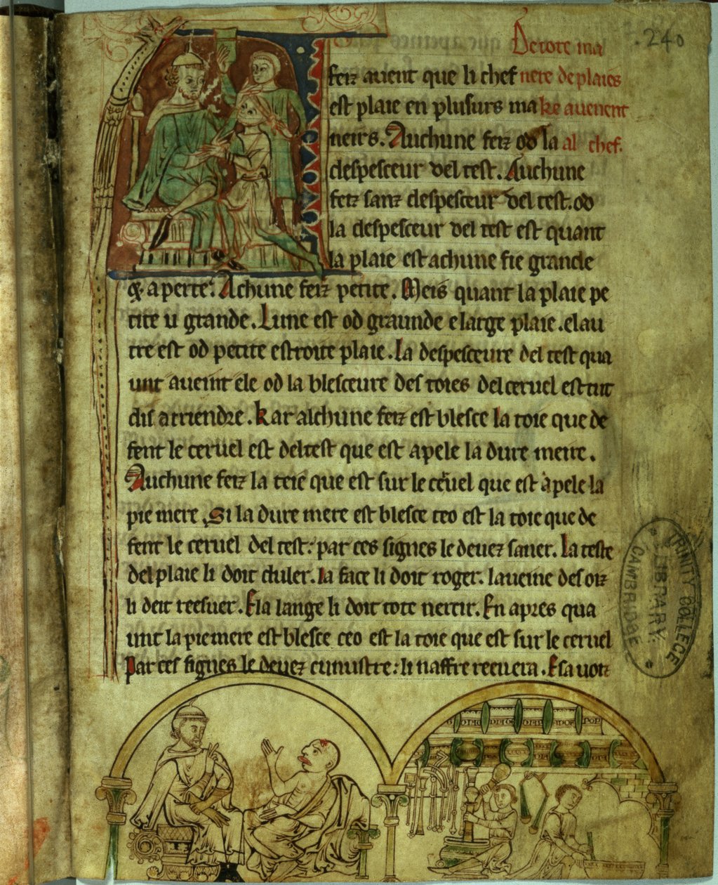 Ms.O.1.20.f.241v Jerome: Egy beteget meglátogató orvos és egy patikus, a „De Nominibus Herbraicis”-ból (vellum) alkotó: English School