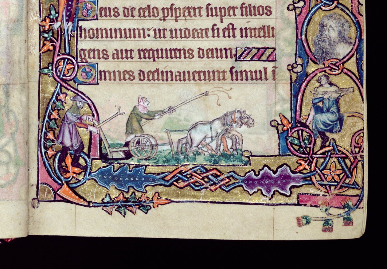 Ms 1-2005, ff.76v-77r: Dávid és a bolond, történetírásos kezdőbetű a Macclesfield Psalterből, Use of Sarum, East Anglia, 1330 körül (vellum) (a 276994 részlete) alkotó: English School