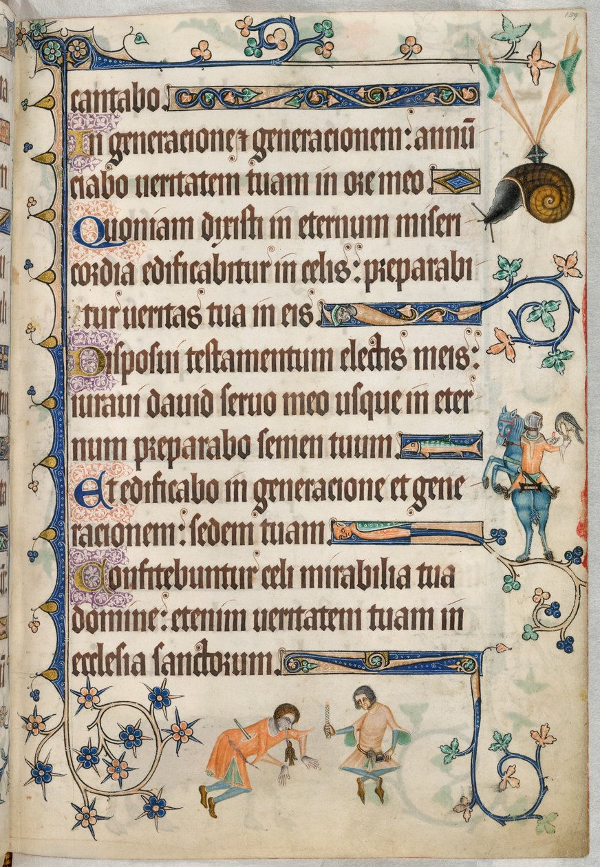 Add asszony. 42130, f.159 Egy férfi sólyom, a „Luttrell Zsoltárból”. c.1325 (vellum) alkotó: English School