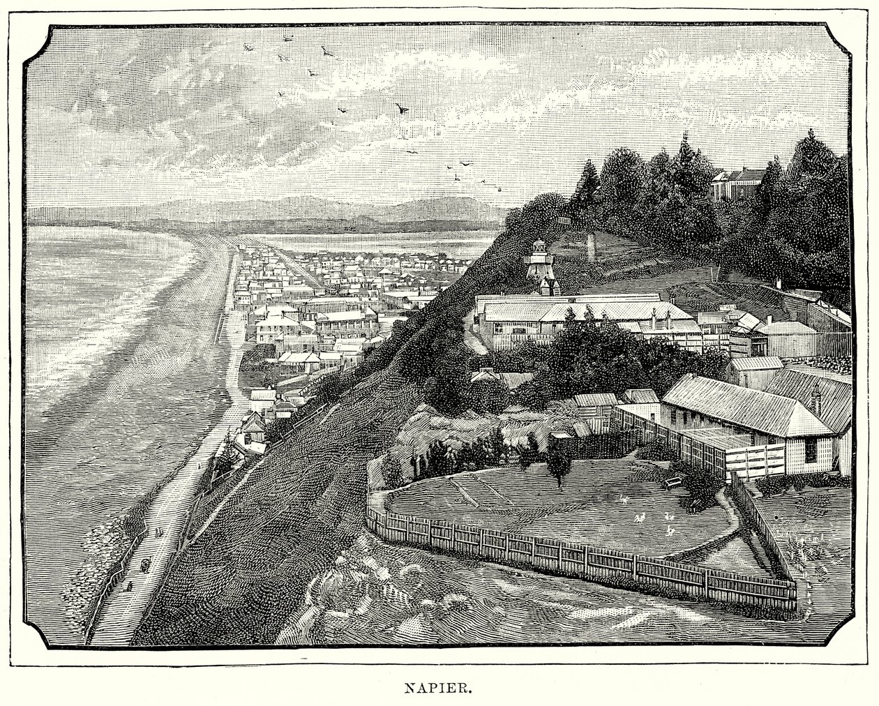 Napier (metszet) alkotó: English School