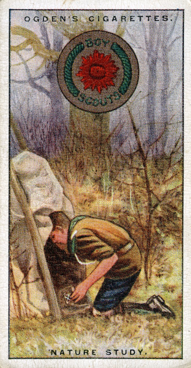 Természettanulmányi jelvény cserkészeknek, cserkész belép a rejtekhelybe, 1929 alkotó: English School
