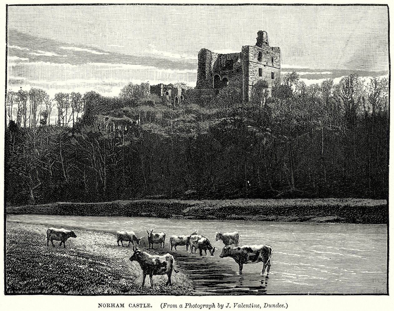 Norham Castle (metszet) alkotó: English School