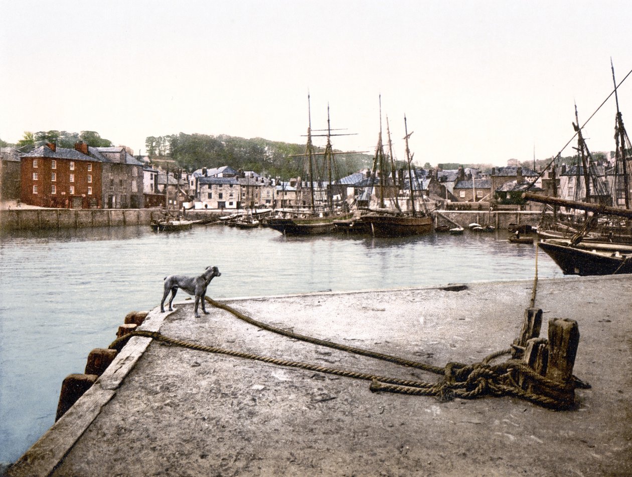 Padstow Quay (kézzel színezett fotó) alkotó: English School