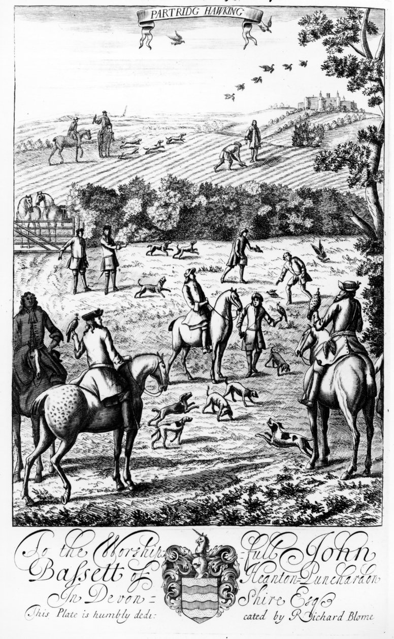 Partridge Hawking, a "The Gentleman