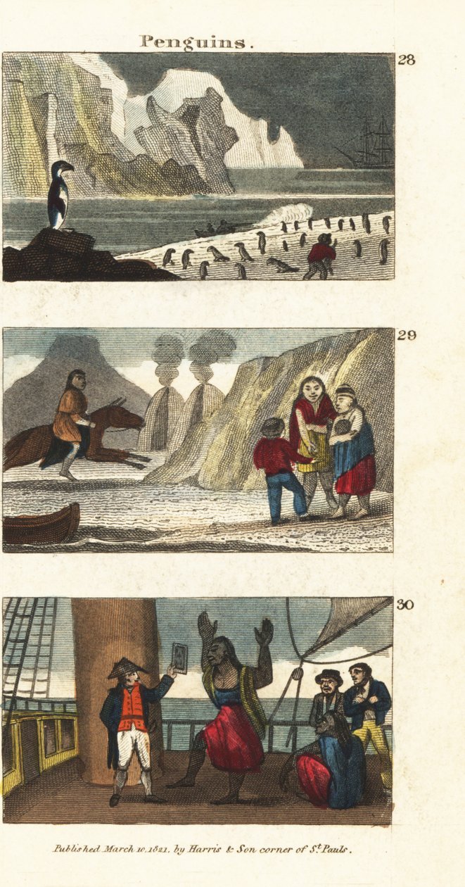 Pingvinek Dél-Amerikában 28, patagóniai óriások állatbőrben 29, és a patagóniaiak, akik elragadtatták a tükör látványát Samuel Wallis kapitány hajóján 30 alkotó: English School