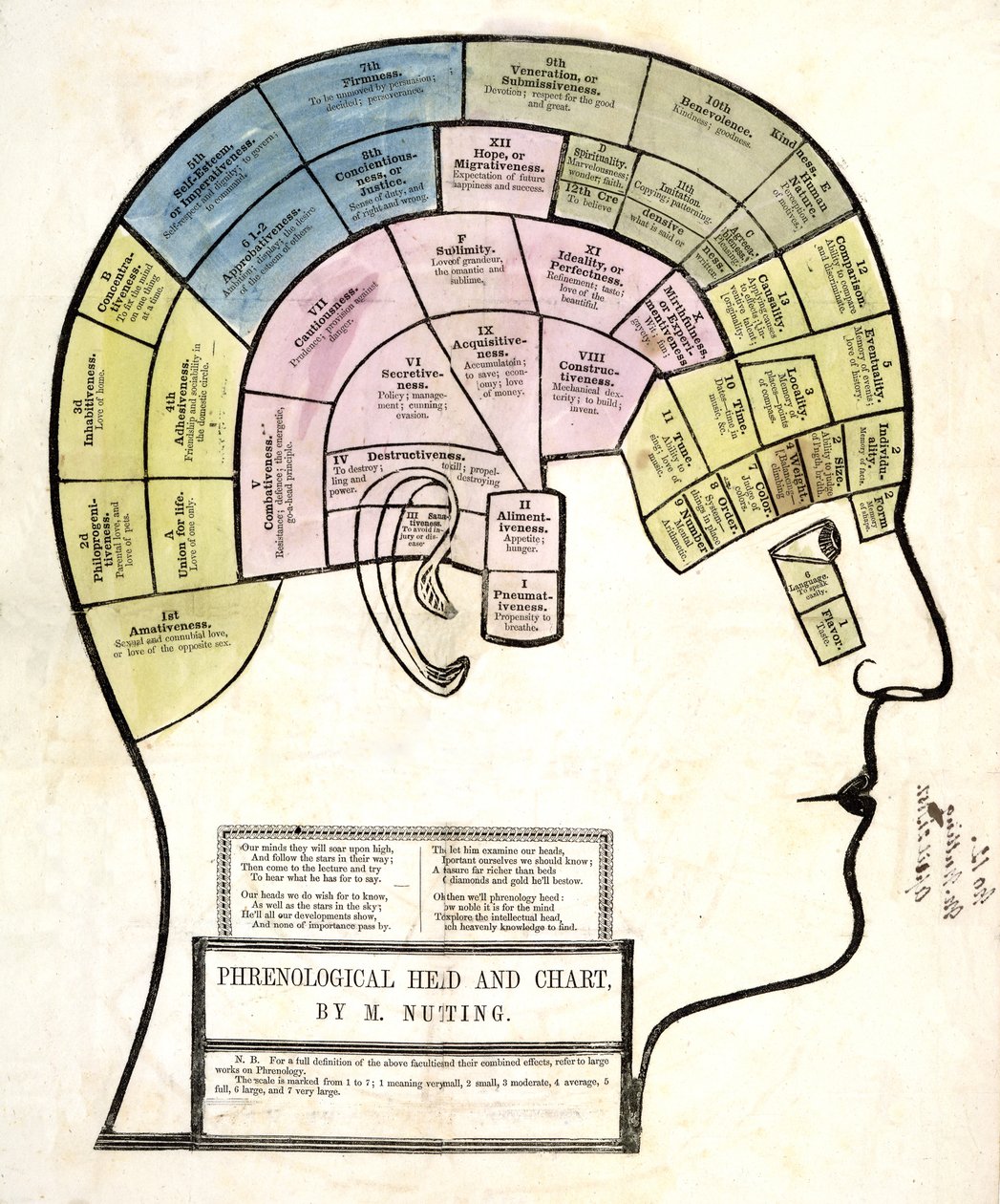 Phrenological Head and Chart, pub. 1857 (színes litó) alkotó: English School