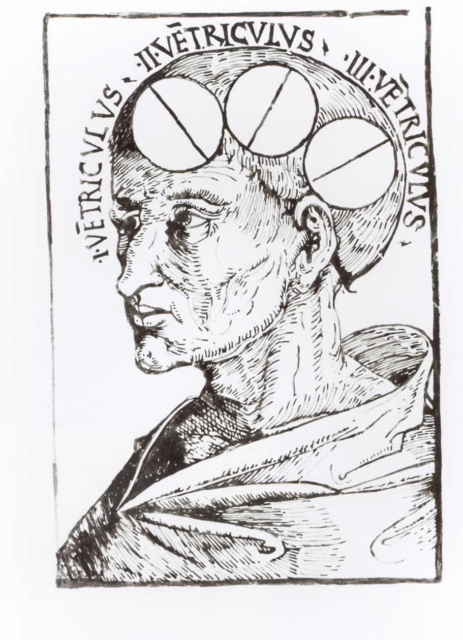 Frenológia (toll és tinta papíron) alkotó: English School