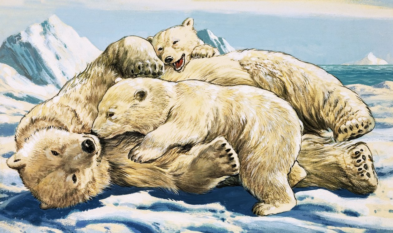 Jegesmedve és kölykök (gouache, papír) alkotó: English School