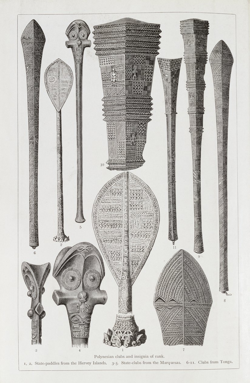 Polinéz klubok és rangjelzések, Friedrich Ratzel professzor, „The History of Mankind”, 1. kötet, 1896 alkotó: English School